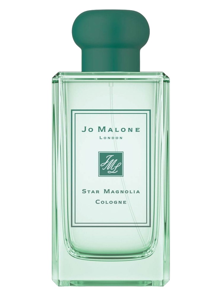 Star Magnolia Cologne (2019)