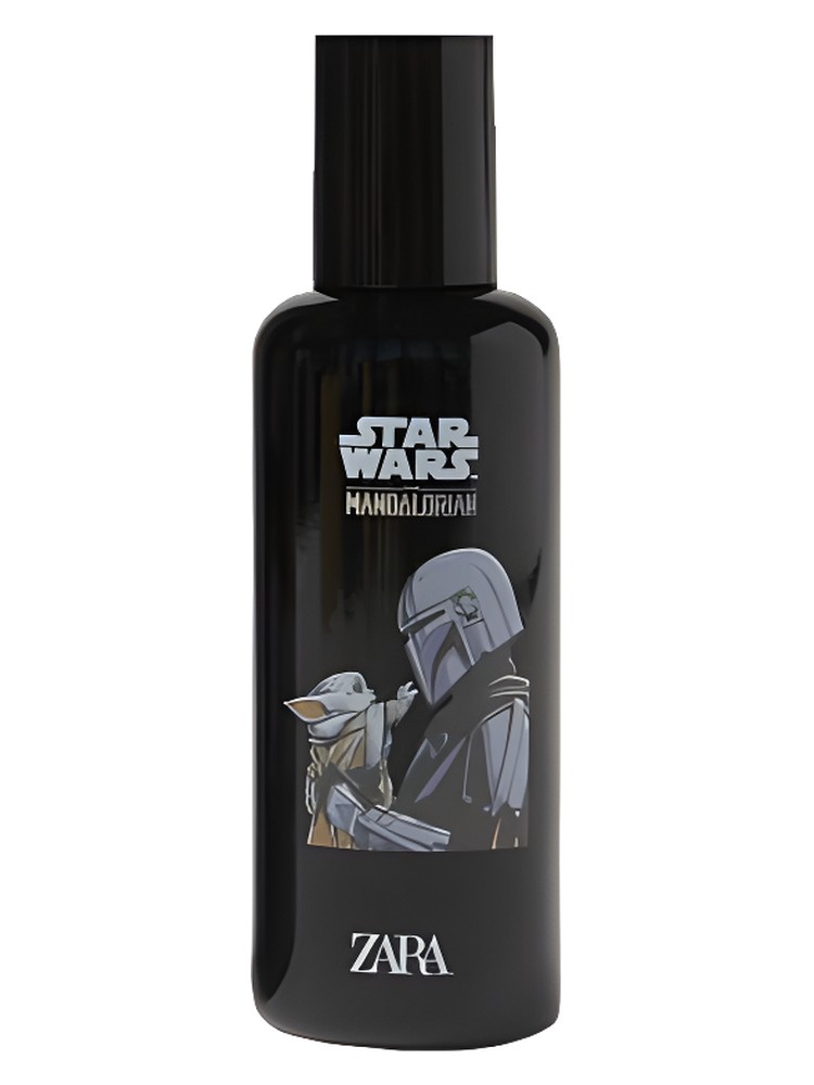 Star Wars The Mandalorian