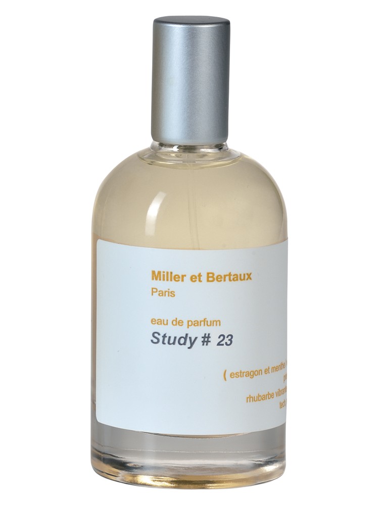Study No. 23 / Newsletter