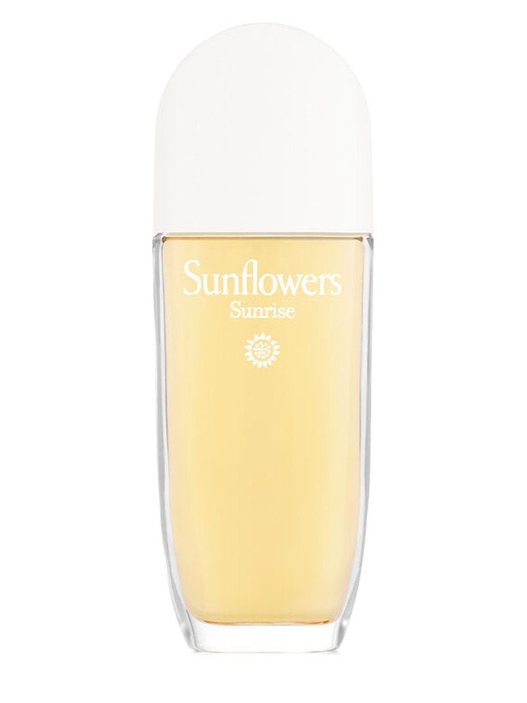 Sunflowers Sunrise