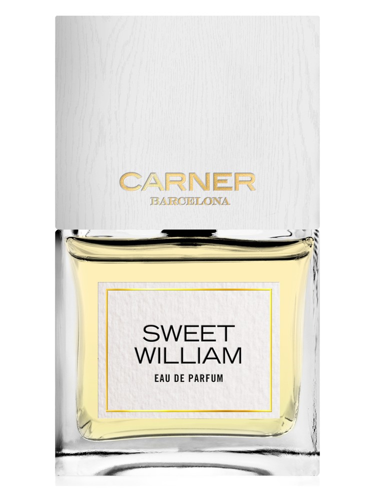 Sweet William