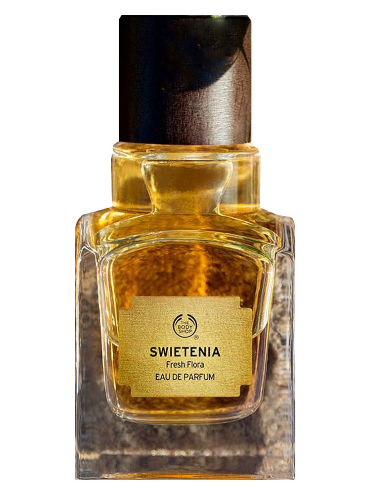 Swietenia