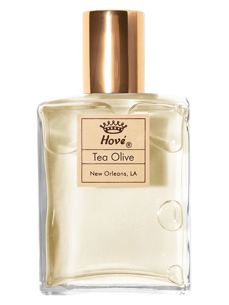 Tea Olive