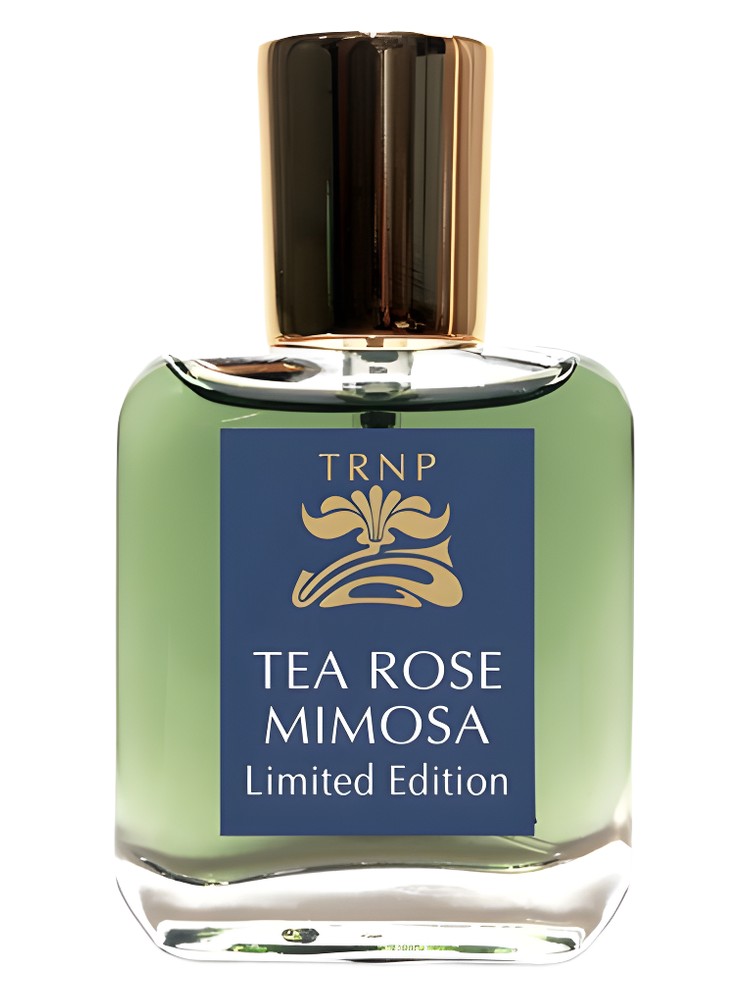 Tea Rose Mimosa - Limited Edition