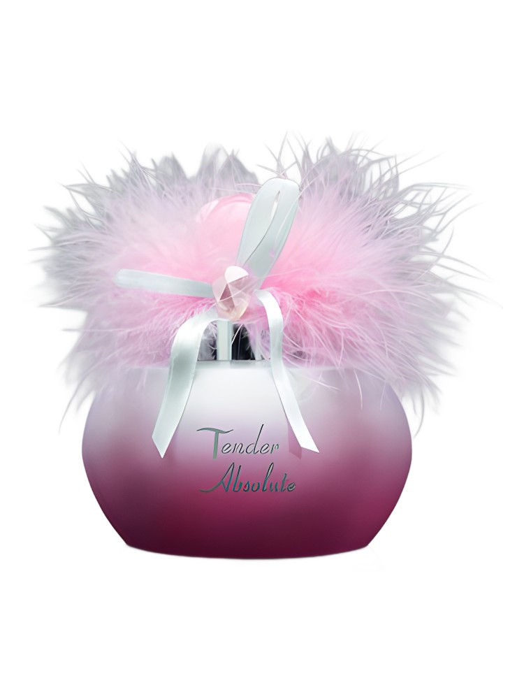 Tender Absolute