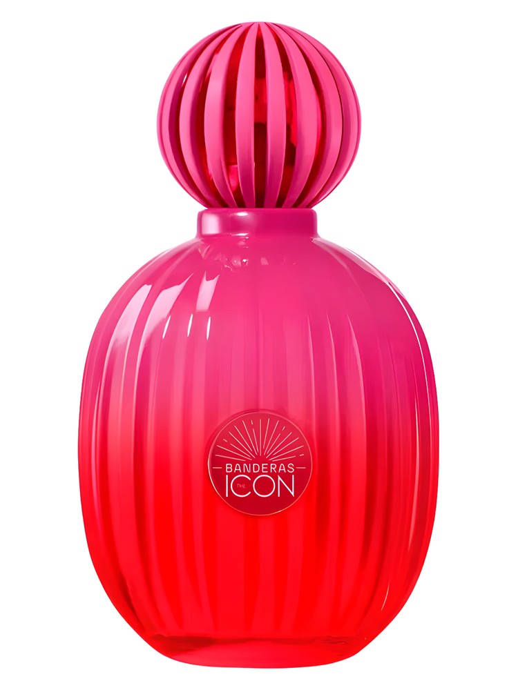 The Icon Supreme for Women