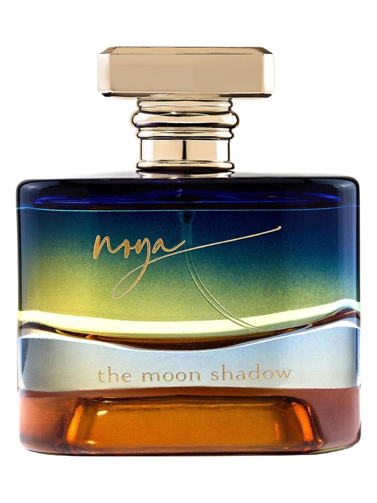 The Moon Shadow