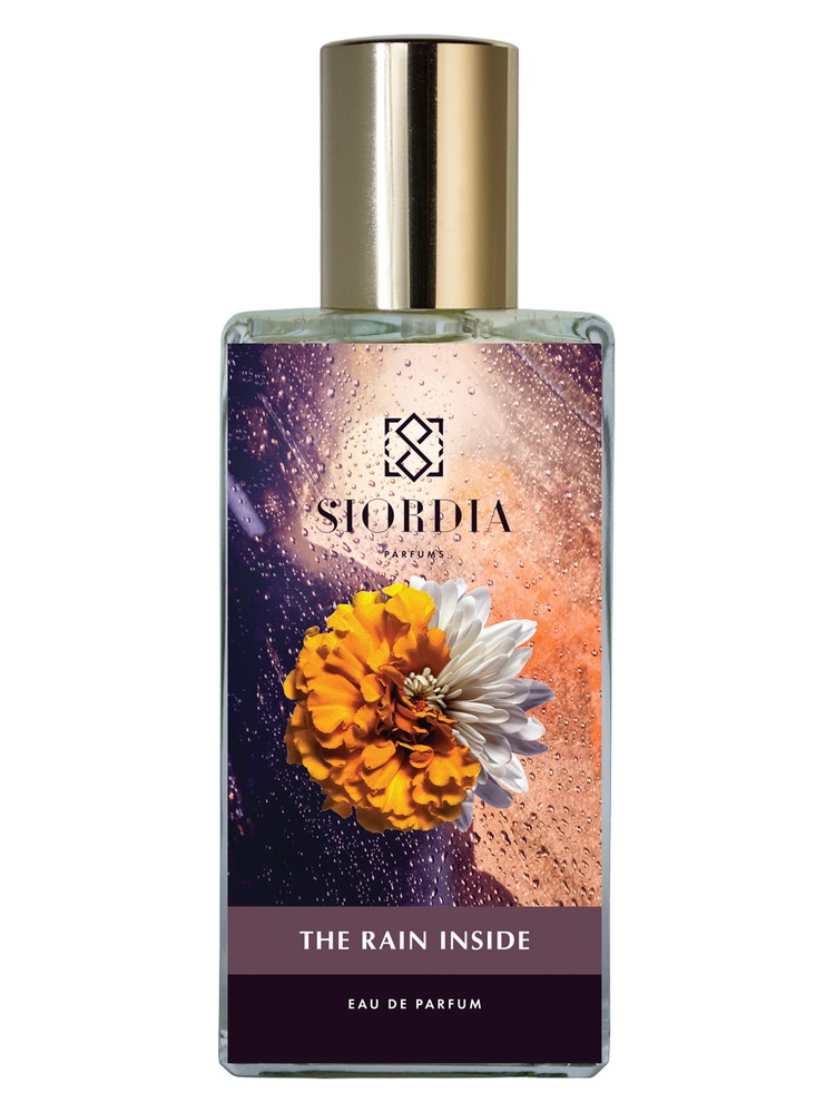 The Rain Inside