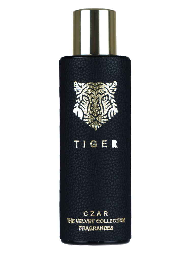 Tiger X Aslan Gülçiçek