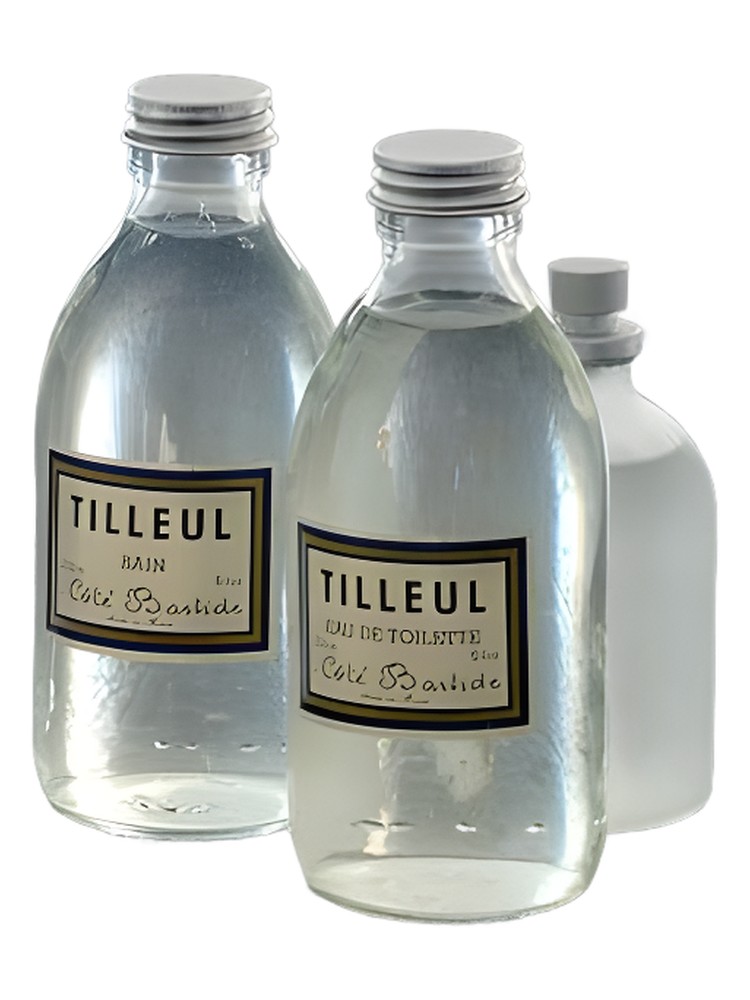 Tilleul (Lime Tree)