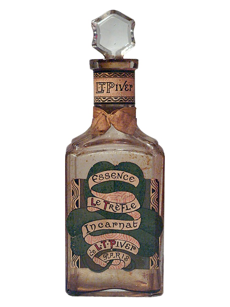Trèfle Incarnat