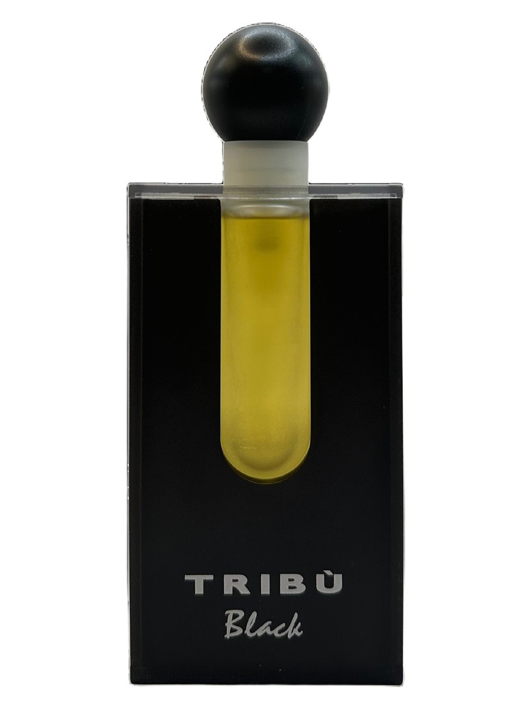 Tribu Black Pour Homme