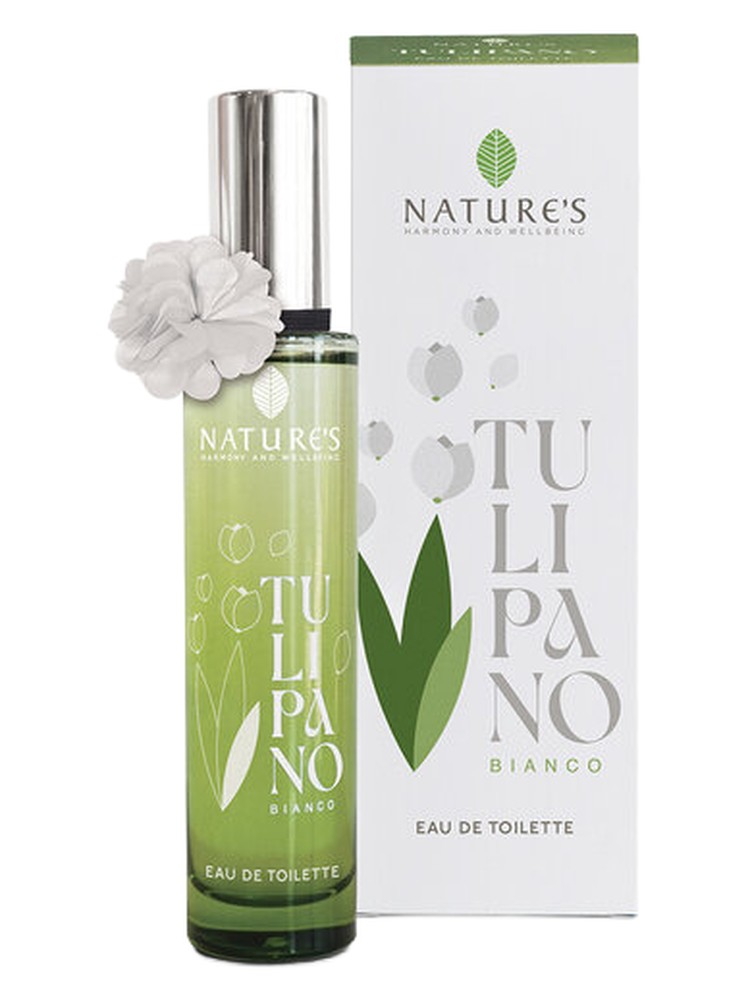 Tulipano Bianco