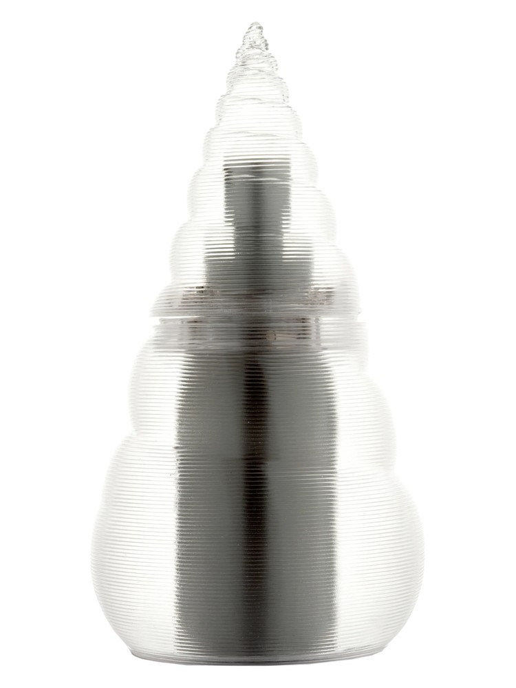 Turritella