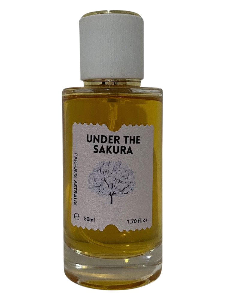 Under the Sakura