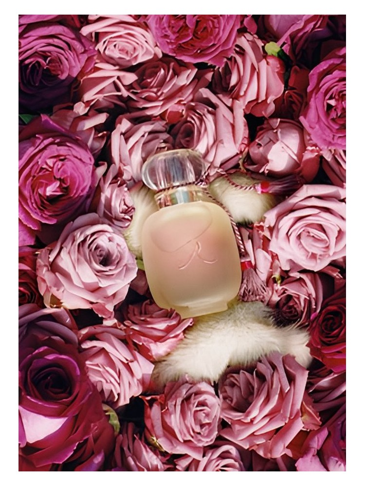 Une Folie de Rose