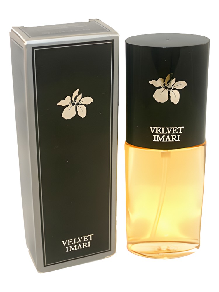 Velvet Imari