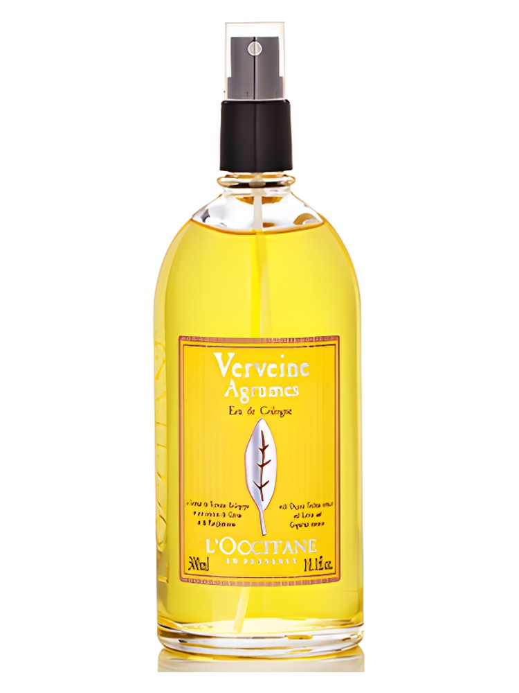 Verbena Cítrica