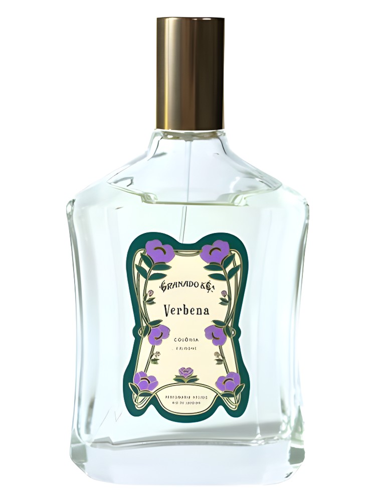 Verbena