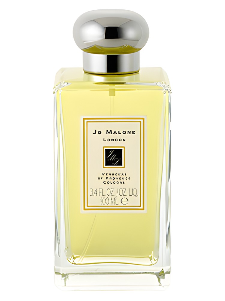 Verbenas of Provence