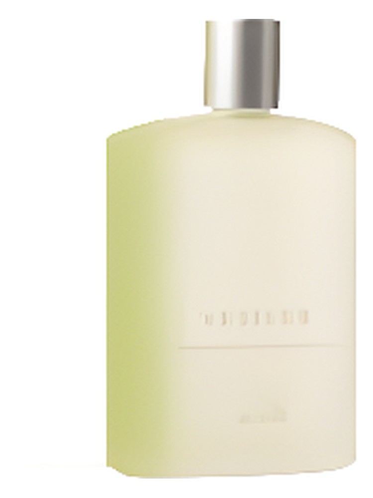 Vetiver