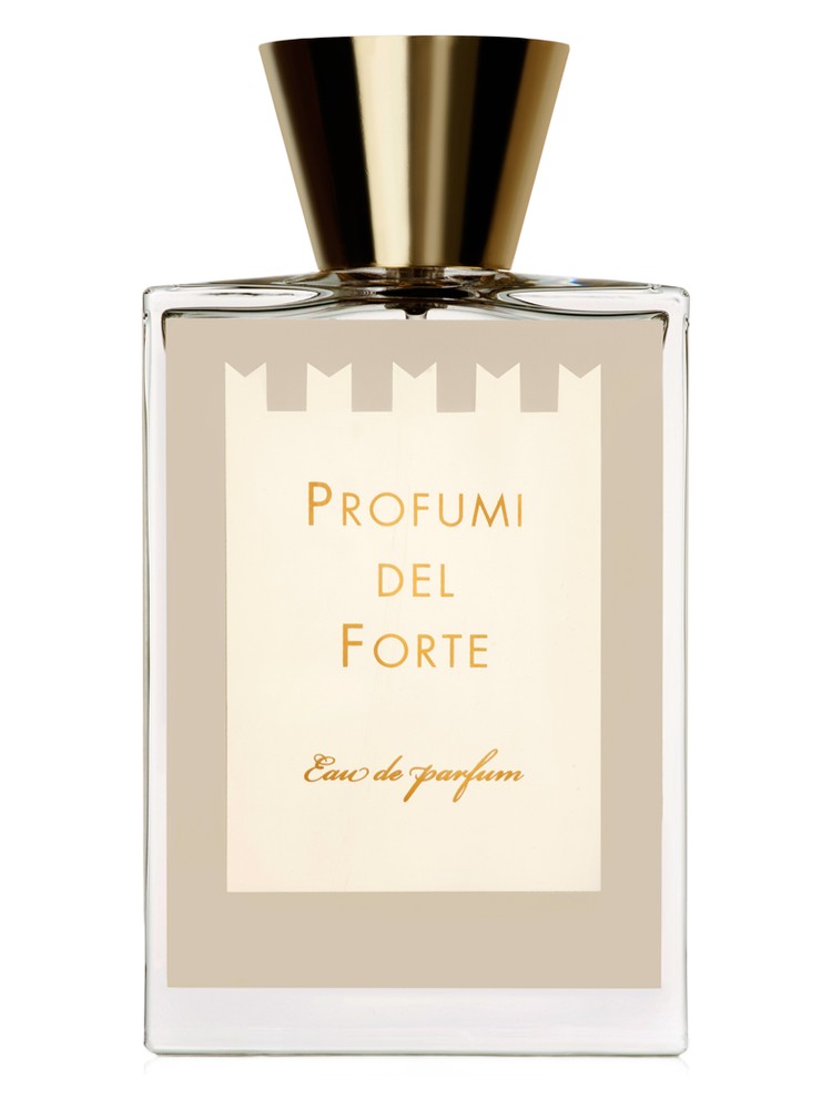 Vetiver Moderno