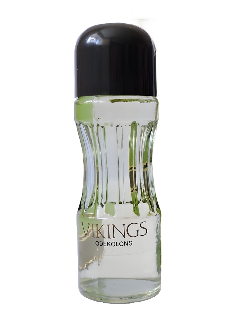 Vikings (Викинг)