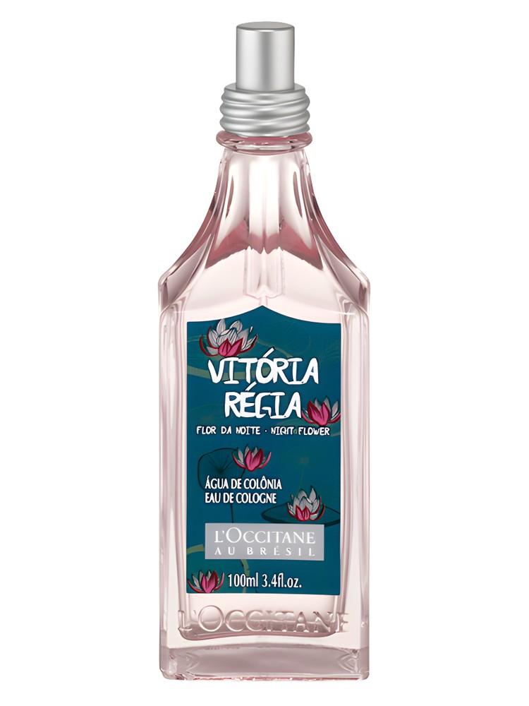 Vitória Régia Flor da Noite