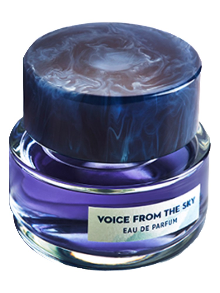Voice From The Sky