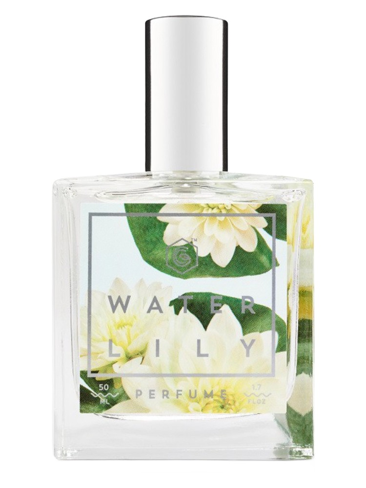 Water Lily