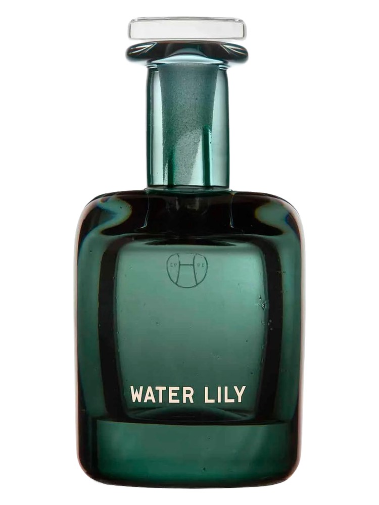Water Lily