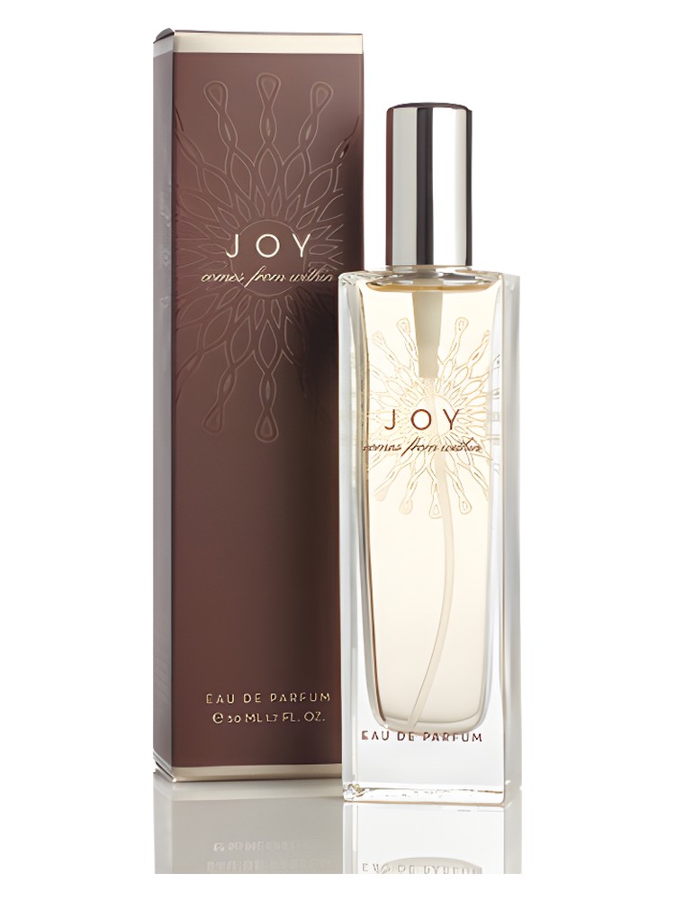 What Comes From Within: Joy