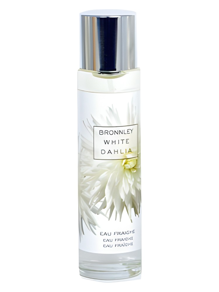 White Dahlia
