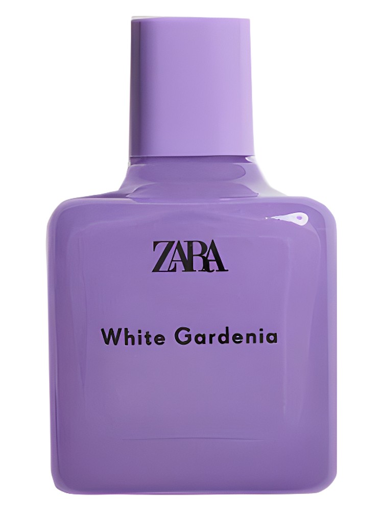 White Gardenia