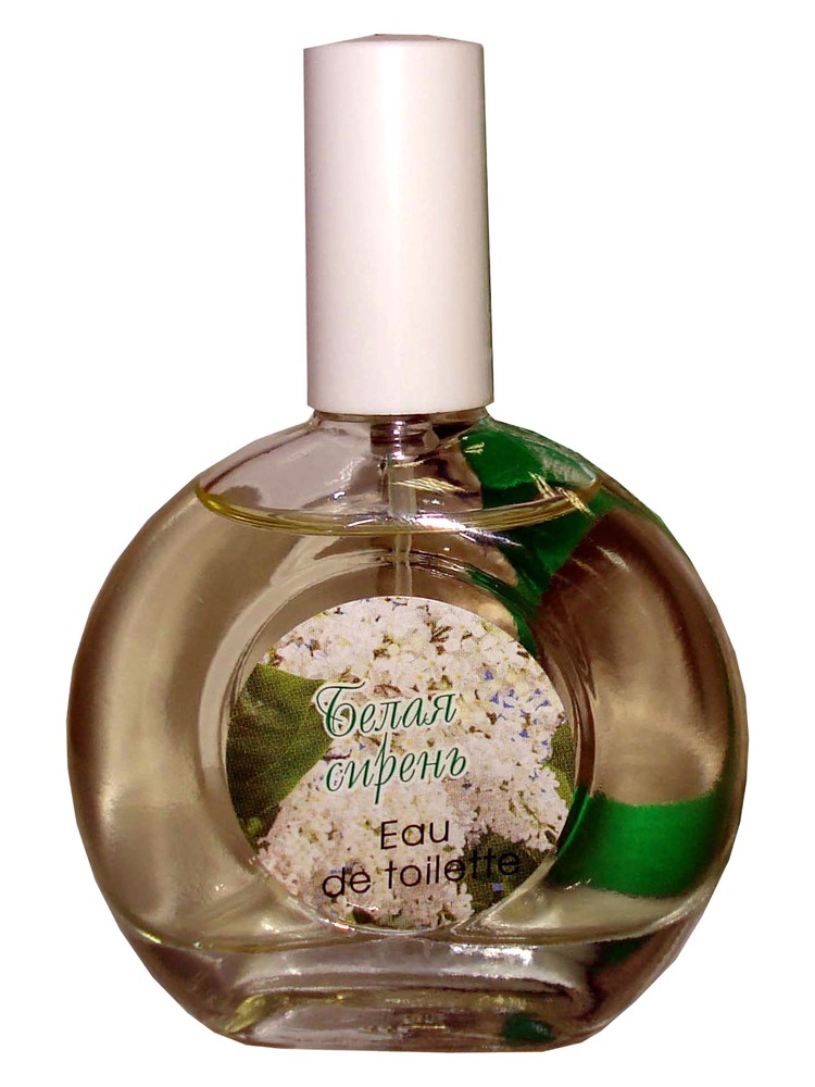 White Lilac