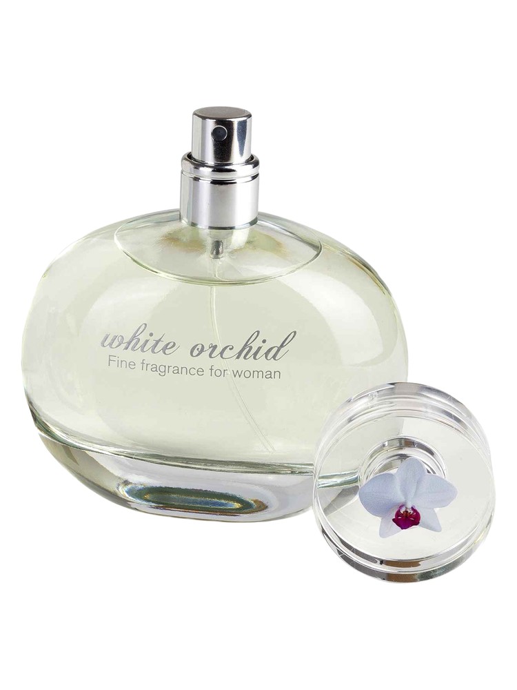 White Orchid