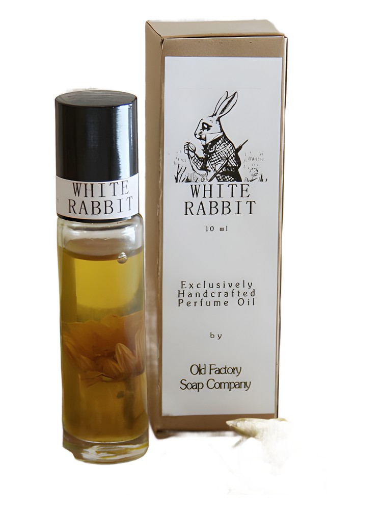 White Rabbit