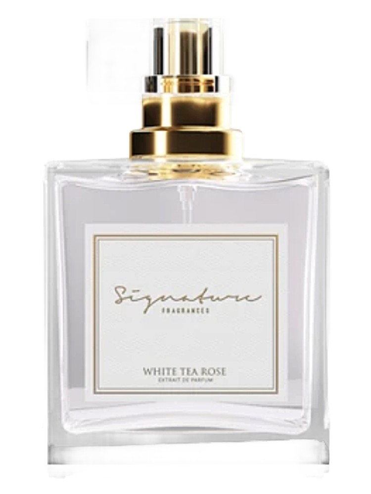 White Tea Rose