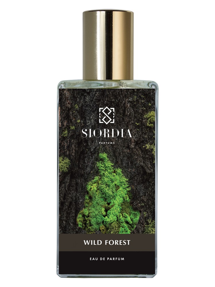 Wild Forest