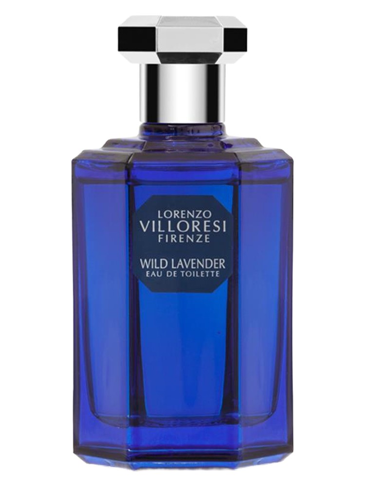 Wild Lavender