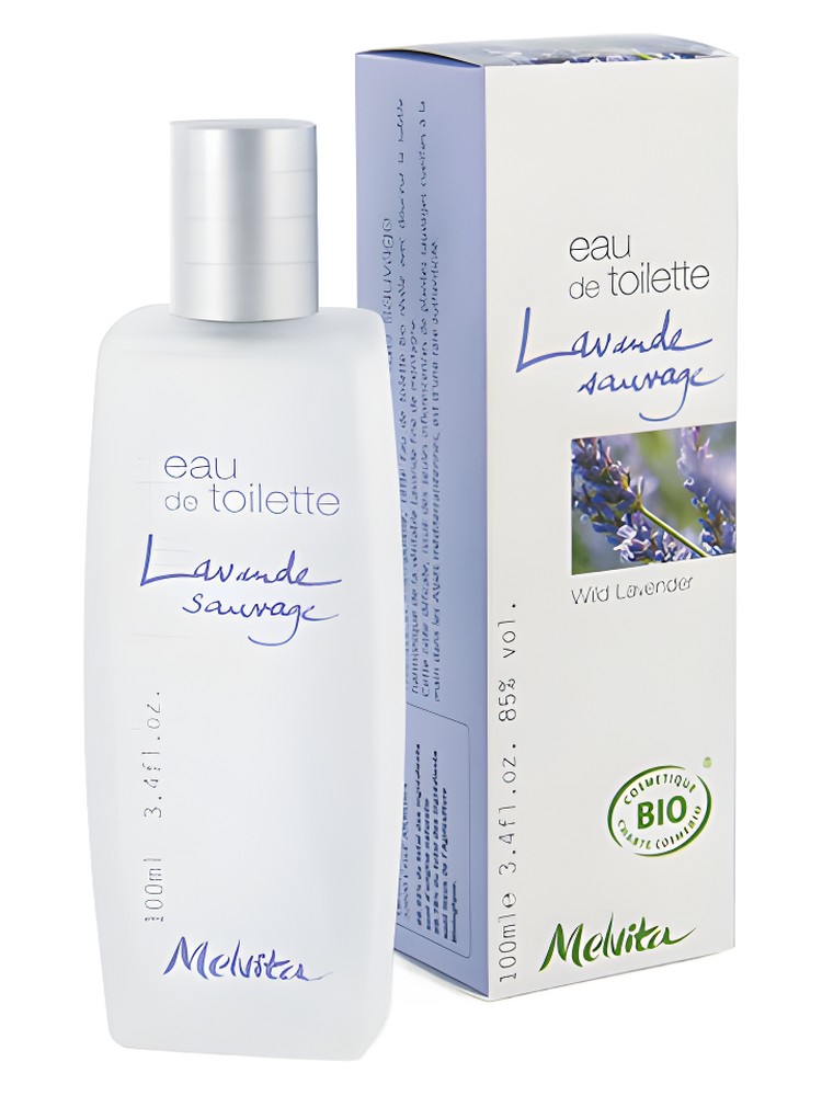 Wild Lavender