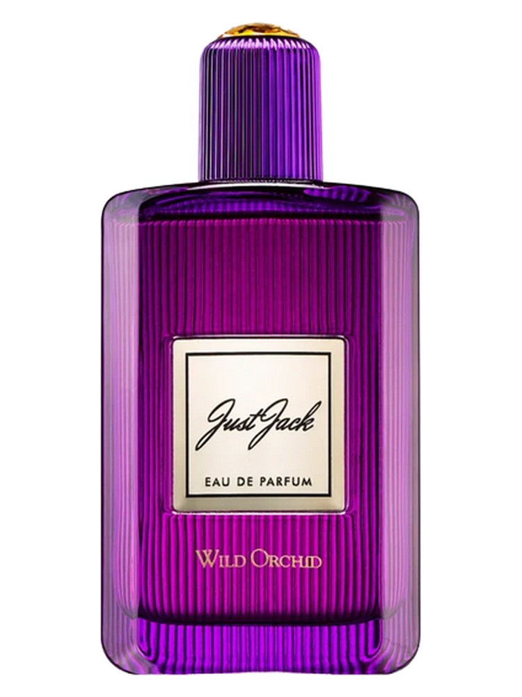 Wild Orchid