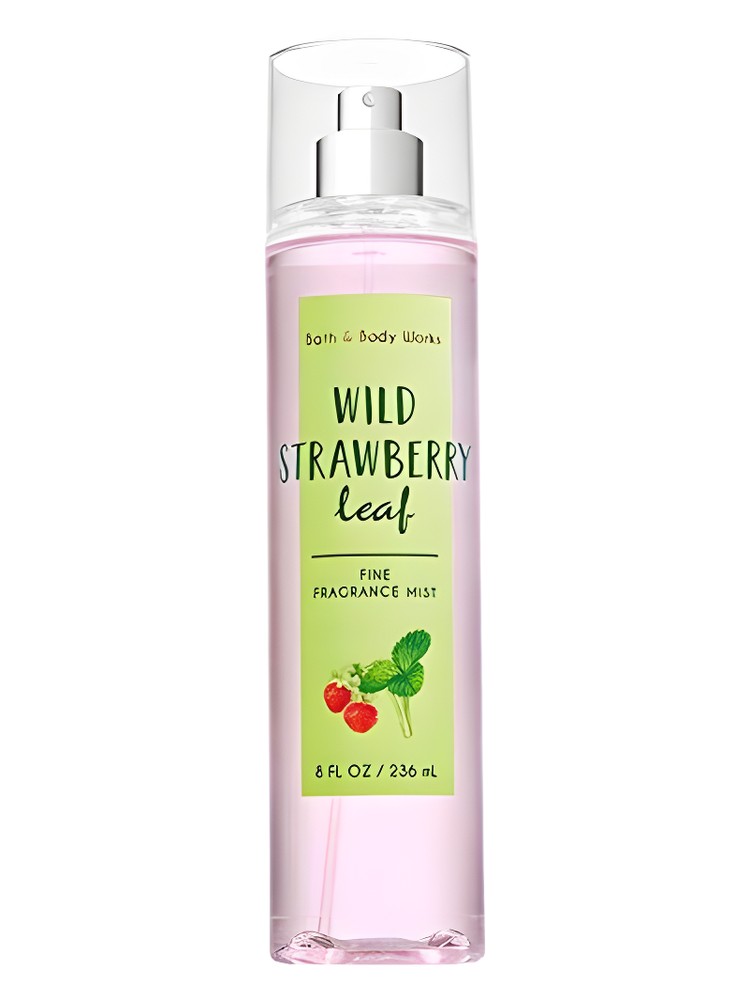Wild Strawberry Leaf