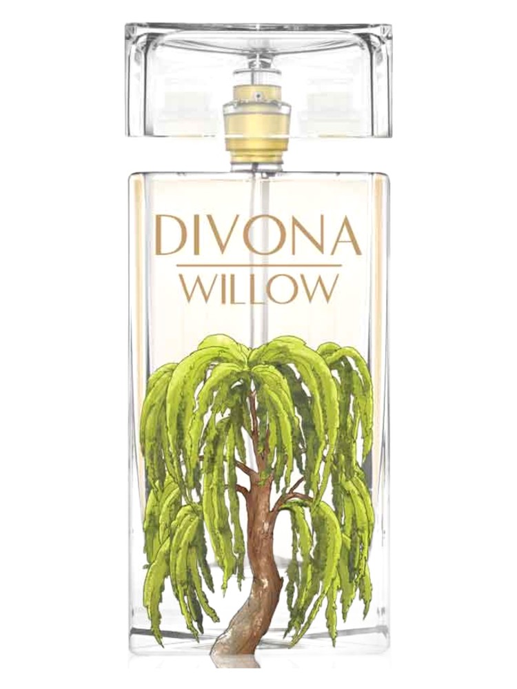 Willow