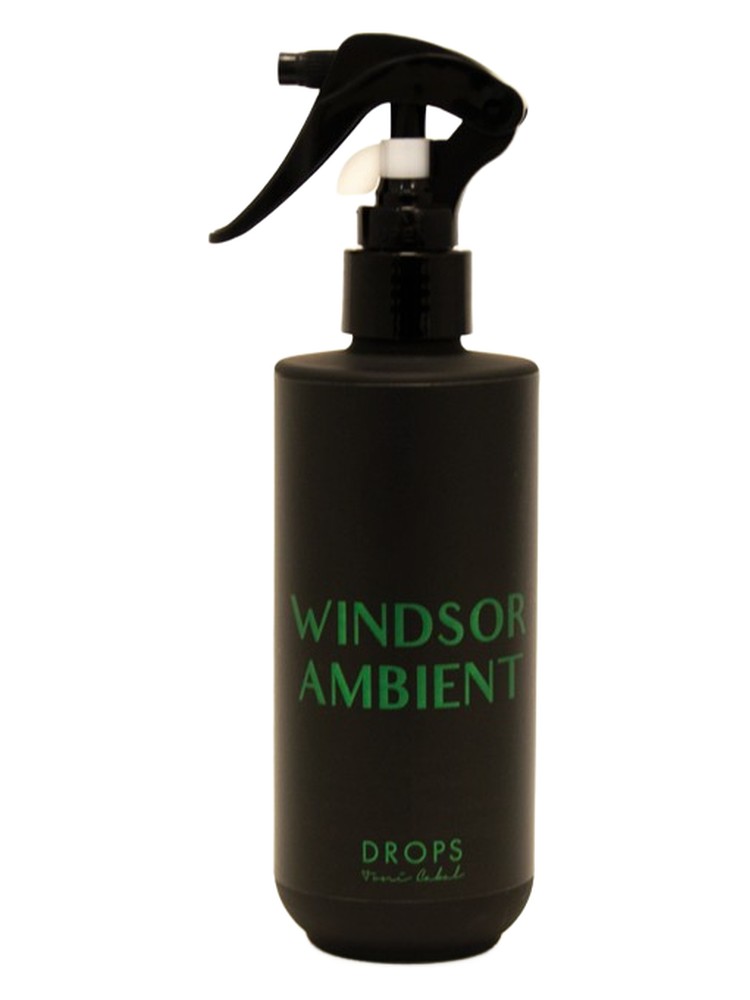 WINDSOR AMBIENT