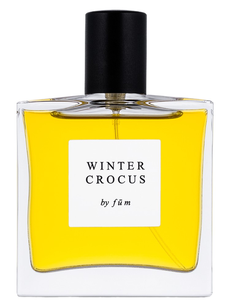 Winter crocus