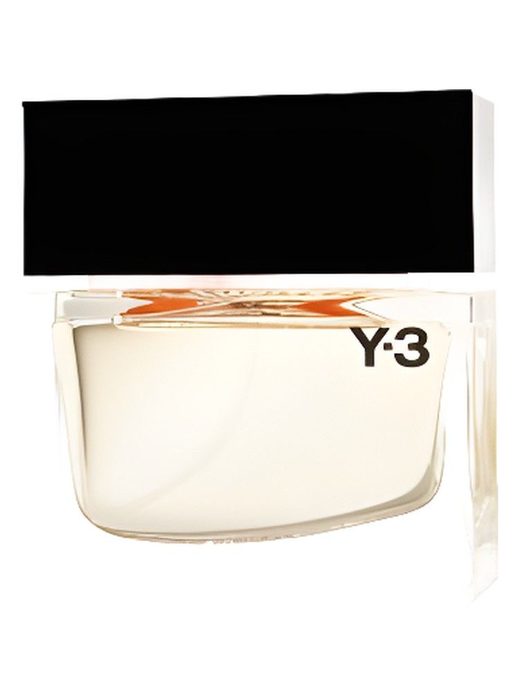 Y-3 Black Label