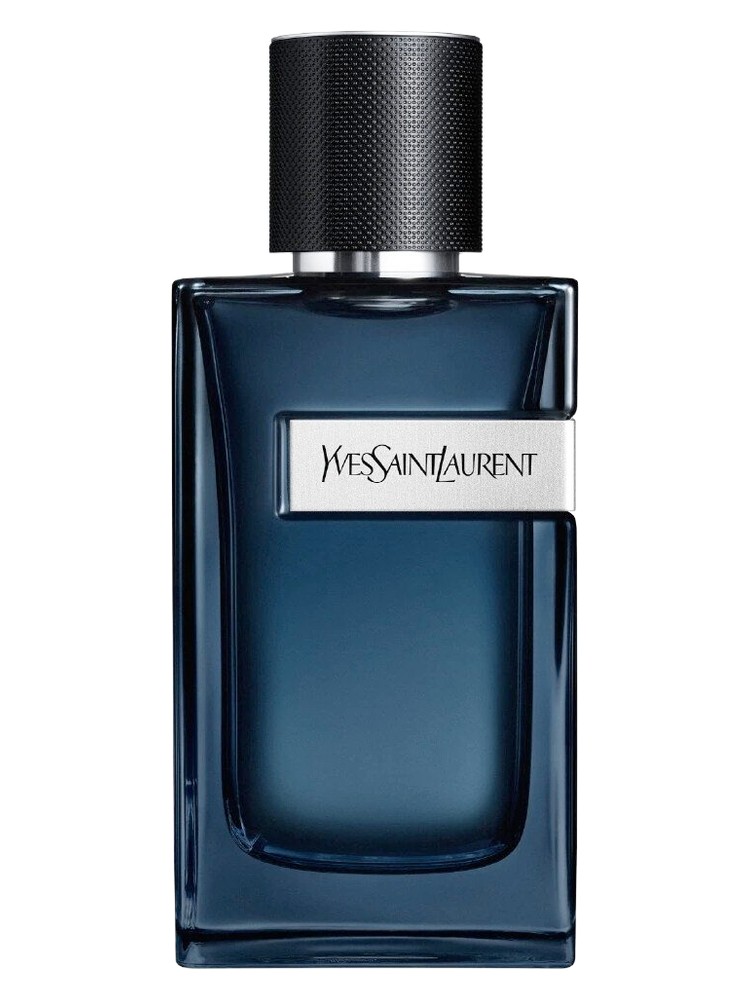 YSL Y Eau de Parfum Intense