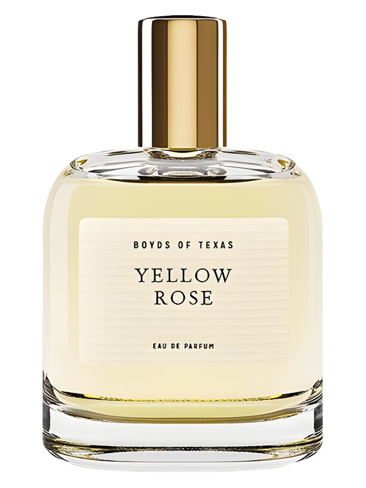 Yellow Rose