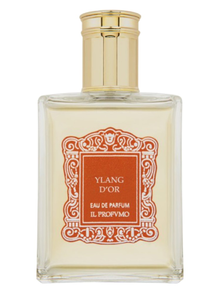 Ylang D'Or